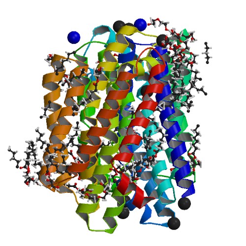 5T77 Biological Subunit 5T77 Biological Subunit