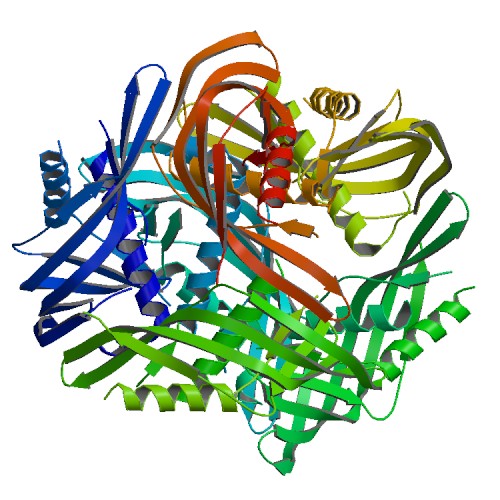 Biological Assembly of 5TOD 5TOD Biological Assembly 7