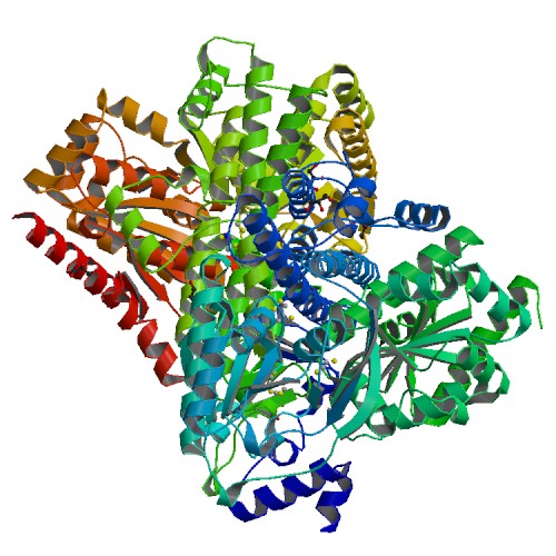Crystal structure of Desulfovibrio vulgaris carbon monoxide dehydrogenase, as-isolated (protein batch 1), canonical C-cluster