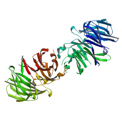 Crystal structure of LRRK2 WD40 domain dimer