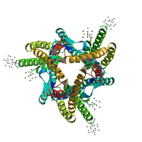 Crystal structure of the high-affinity copper transporter Ctr1 Crystal structure of the high-affinity copper transporter Ctr1