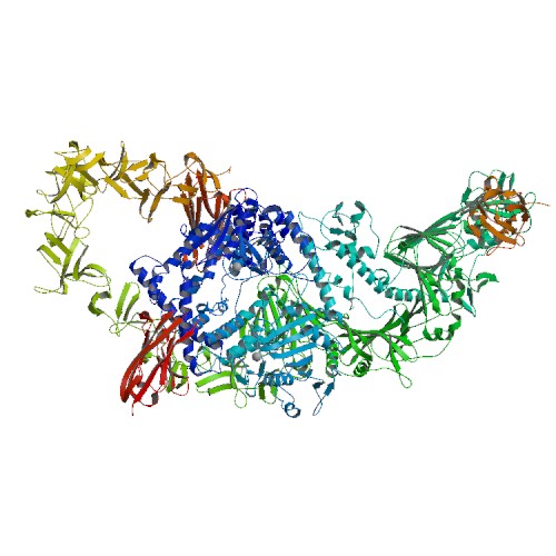 Structure of the full-length Clostridium difficile toxin B in complex with 3 VHHs