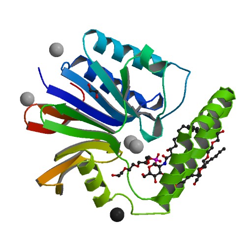 Crystal Structure of the Klebsiella pneumoniae LpxH-lipid X complex