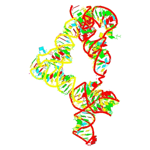 6UFG Co-crystal structure of M. tuberculosis ileS T-box in complex with tRNA-3'-OH