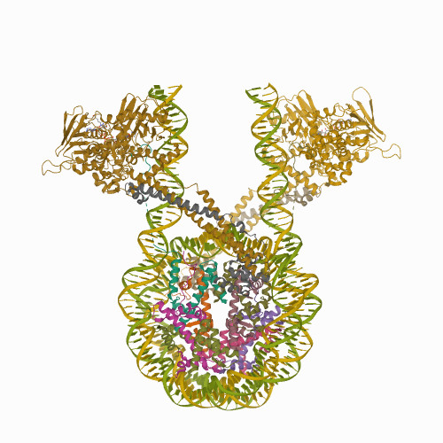 6VYP Crystal structure of the LSD1/CoREST histone demethylase bound to its nucleosome substrate