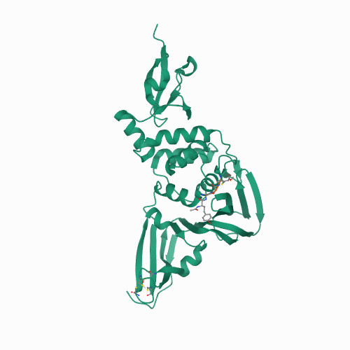 Crystal structure of the SARS CoV-2 Papain-like protease in complex with peptide inhibitor VIR251 6WX4
