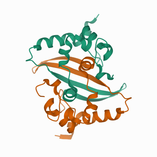 Structure of SARS-CoV-2 Nucleocapsid dimerization domain, P1 form 6WZO