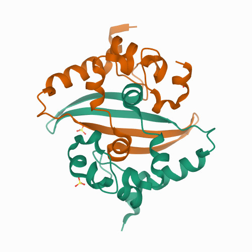 Structure of SARS-CoV-2 Nucleocapsid dimerization domain, P21 form 6WZQ