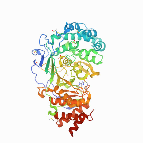 Structure of human PARG complexed with PARG-292, 7KG7