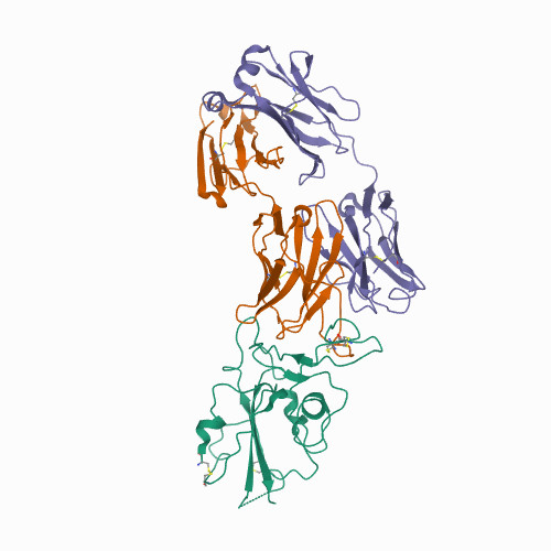 Crystallographic structure of neutralizing antibody 2-15 in complex with SARS-CoV-2 spike receptor-binding Domain (RBD) Crystallographic structure of neutralizing antibody 2-15 in complex with SARS-CoV-2 spike receptor-binding Domain (RBD)