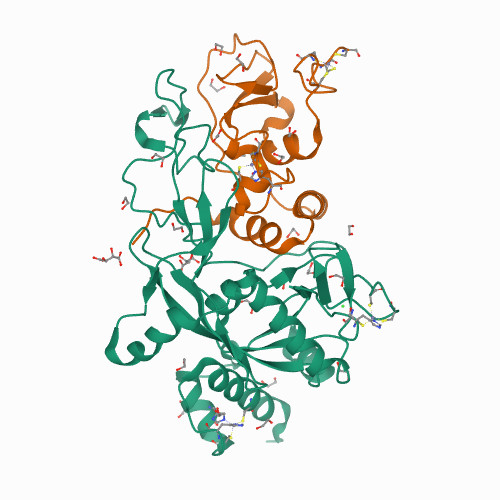 Crystal structure of the SARS-CoV-2 ExoN-nsp10 complex 7MC5