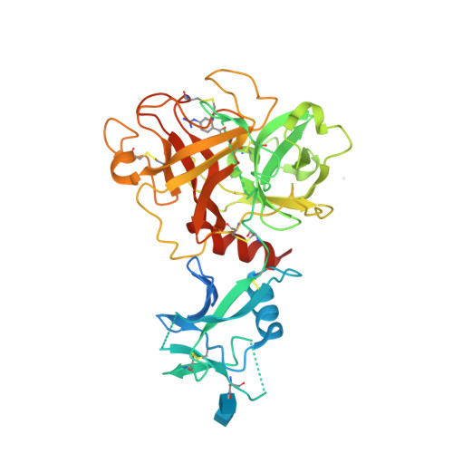 7MEQ Crystal structure of human TMPRSS2 in complex with Nafamostat