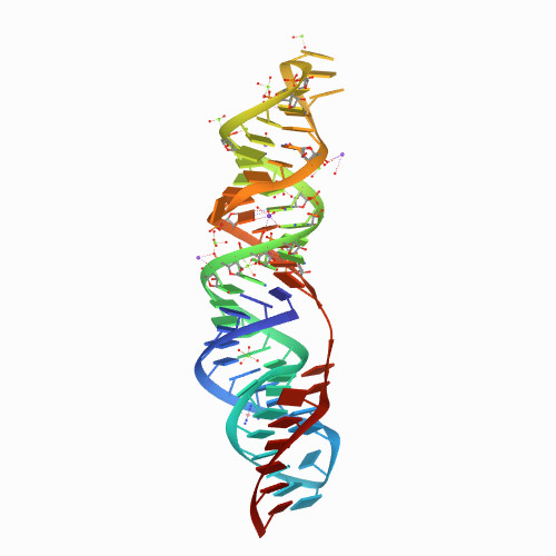 7MKY SARS-CoV-2 frameshifting pseudoknot RNA