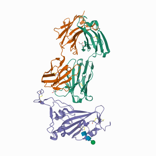 Crystal structure of SARS-CoV-2 receptor binding domain in complex with neutralizing human antibody WRAIR-2057 7N4I