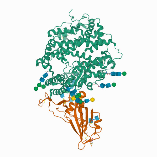 7SN0 Crystal structure of spike protein receptor binding domain of escape mutant SARS-CoV-2 from immunocompromised patient (d146*) in complex with human receptor ACE2