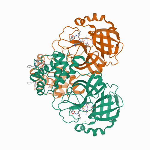 7TGR Structure of SARS-CoV-2 main protease in complex with GC376