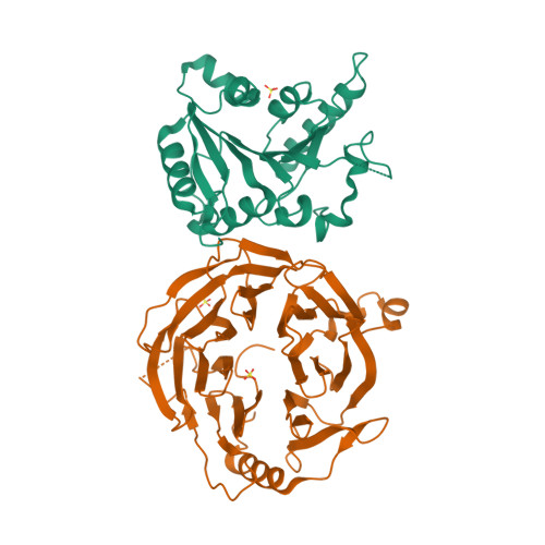 7U20 Crystal structure of human METTL1 and WDR4 complex