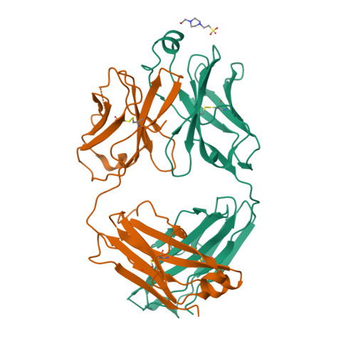 8T7F Structure of the S1 variant of Fab F1