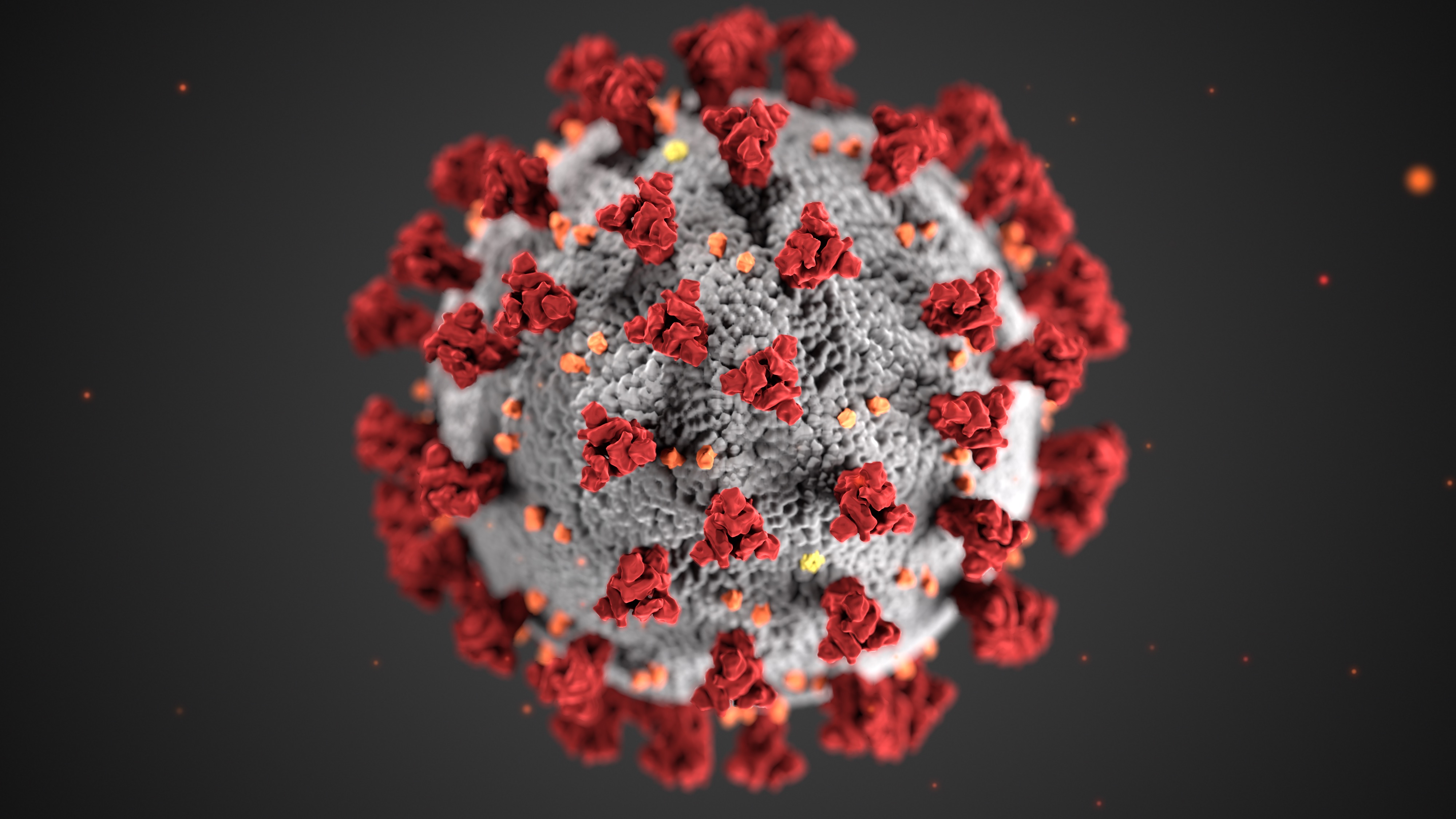 Novel Coronavirus