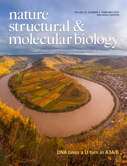 Cover of Nature Structure & Molecular Biology for February 2017 Cover of Nature Structure & Molecular Biology for February 2017