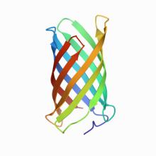 6X9Z 6X9Z PDB Structure