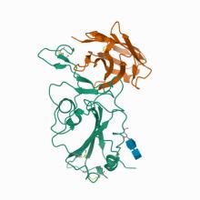 Crystal structure of SARS-CoV-2 RBD complexed with Nanosota-1