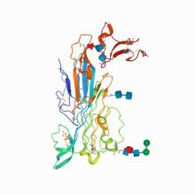 Structure of the invertebrate ALK GRD 7LIR