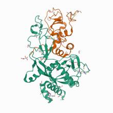 Crystal structure of the SARS-CoV-2 ExoN-nsp10 complex 7MC5