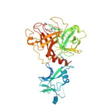 Crystal structure of human TMPRSS2 in complex with Nafamostat