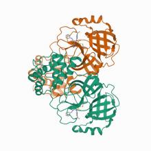 Crystal Structure of SARS-CoV-2 Main Protease (3CLpro/Mpro) Covalently Bound to Compound C63