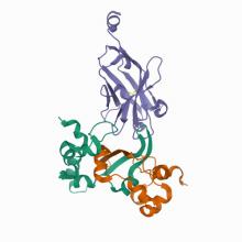 Structure of the SARS-CoV-2 N protein C-terminal domain bound to single-domain antibody E2