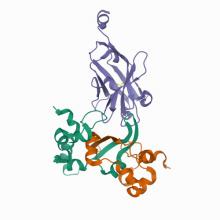 7N0I Structure of the SARS-CoV-2 N protein C-terminal domain bound to single-domain antibody E2