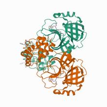 7TIU Crystal structure of SARS-CoV-2 3CL in complex with inhibitor EB46