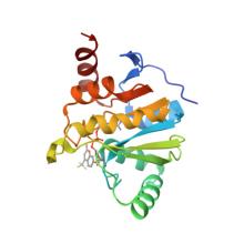 Crystal structure of SARS-CoV-2 (Covid-19) Nsp3 macrodomain in complex with TFMU-ADPr