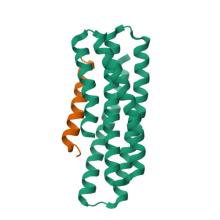 8GJG 8GJG, De novo design of high-affinity protein binders to bioactive helical peptides