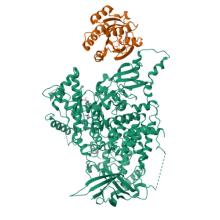 9B4S, Crystal structure of the RRAS2-p110alpha complex Crystal structure of the RRAS2-p110alpha complex