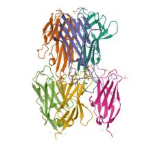 9BN7, X-ray crystal structure of TNFa-VNAR C4 complex