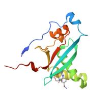 9CML, Crystal structure of p110alpha-RAS binding domain (RBD) in complex with molecular glue D223