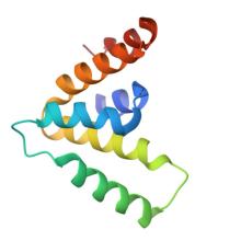 9CS7, Structure of Azospirillum bacterial CARD crystal form 1 Structure of Azospirillum bacterial CARD crystal form 1