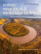 Cover of Nature Structure & Molecular Biology for February 2017